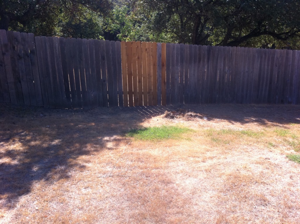 2011-09-24-6607 Conifer Cove-32.jpg